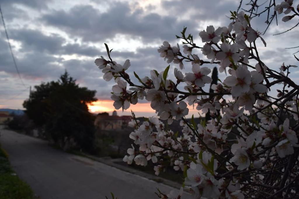Appartamento O Palaios Fournos Tou Andrea Kardhakáta Esterno foto